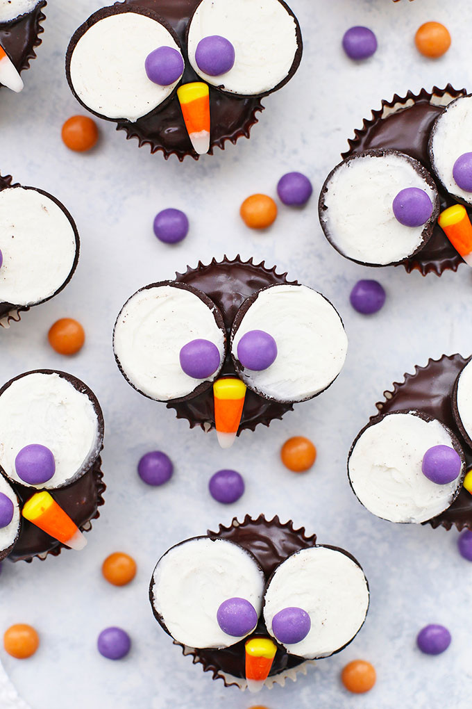 Close up View of Gluten Free Dairy Free Owl Cupcakes