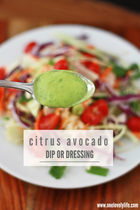 Citrus Avocado Dressing or Dip (Whole30 approved!!!) // One Lovely Life