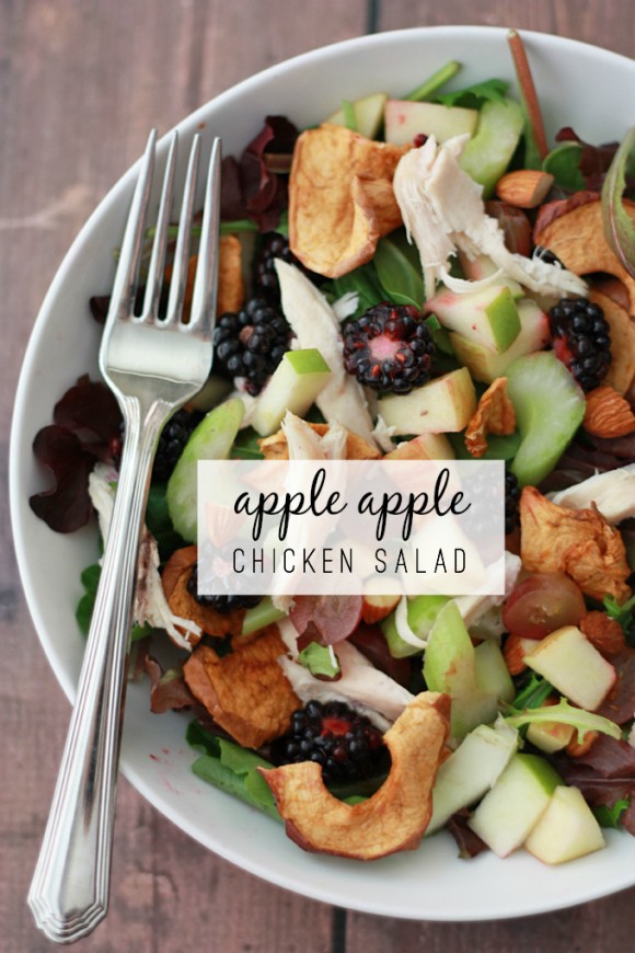 Apple Apple Chicken Salad with Cider Vinaigrette // One Lovely Life