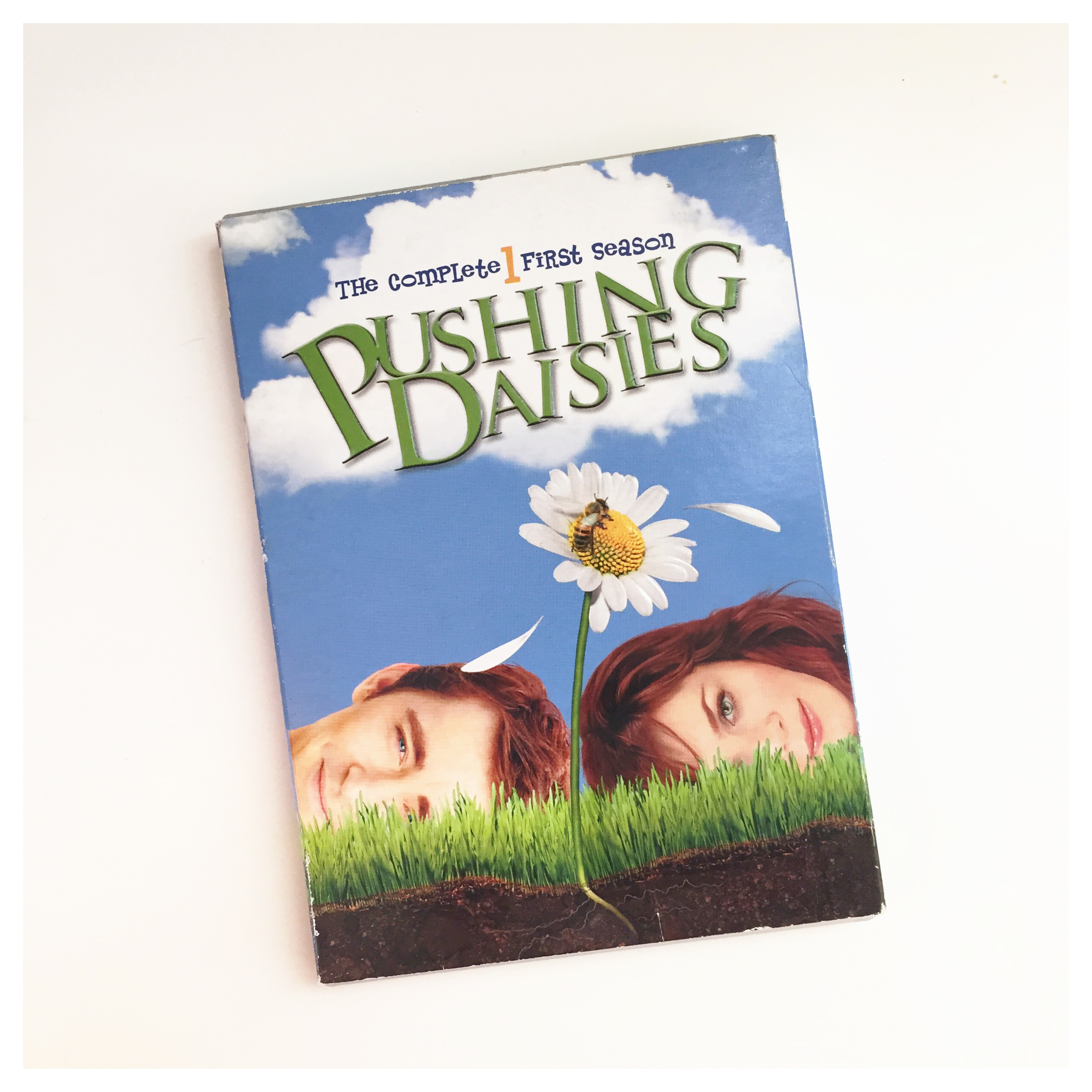 Pushing Daisies - Are you watching this yet? You should be. 