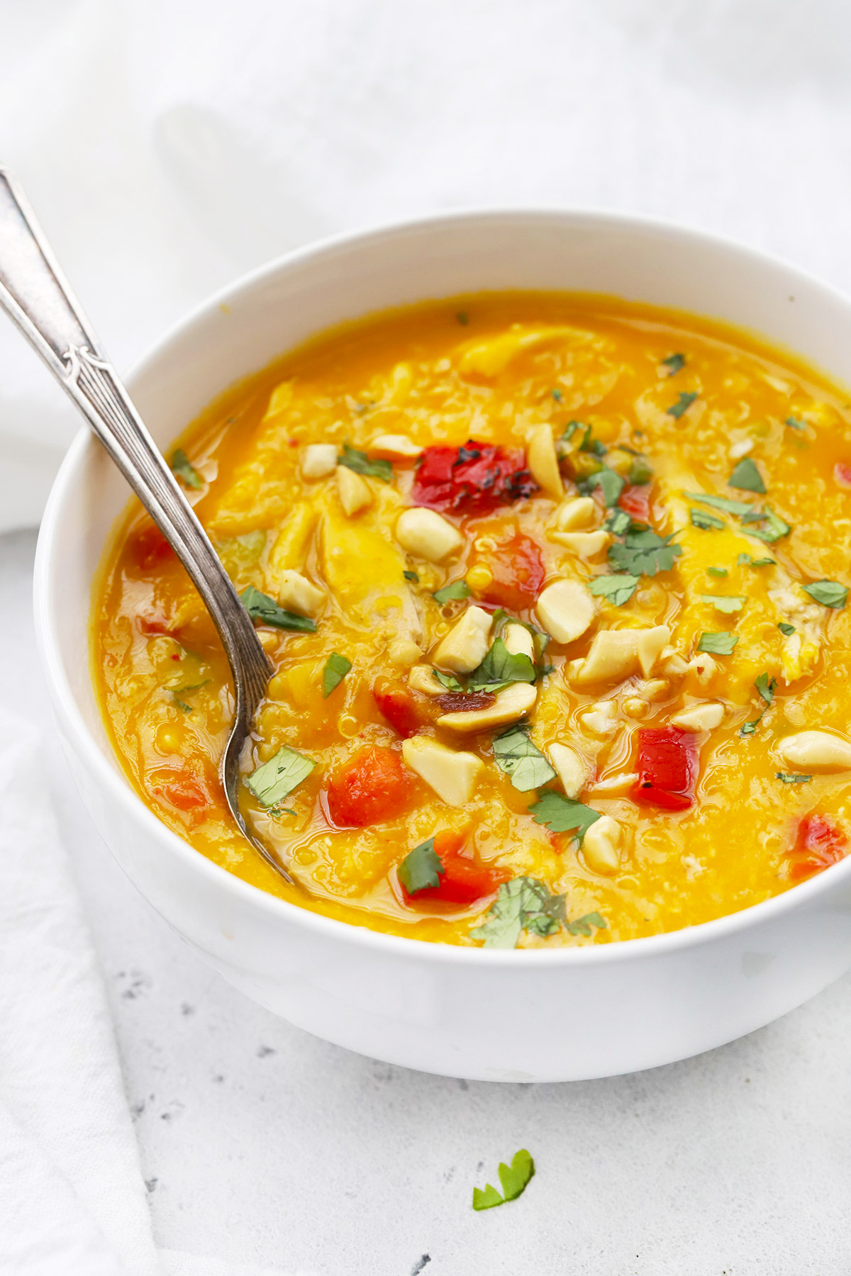 Close up front view of Slow Cooker Thai Curry Chicken and Butternut Squash Soup