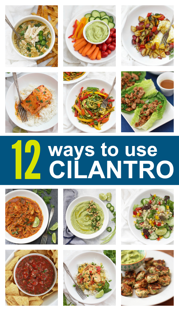 Keep your cilantro fresh up to 2 weeks or more with my easy trick, plus I've got lots of recipes to help you use your bunch!