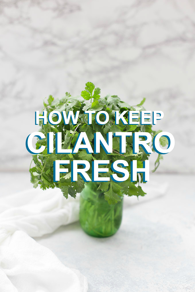 How to Keep Cilantro Fresh Up to 2 Weeks or More! (This is so simple!) Plus, 12 ways to use it! 
