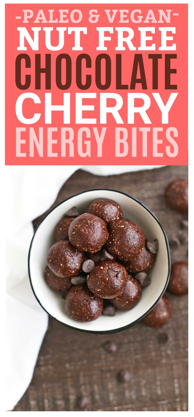 asy No Bake (Nut Free!) Chocolate Cherry Energy Bites - These are SO good! Gluten free, paleo, vegan