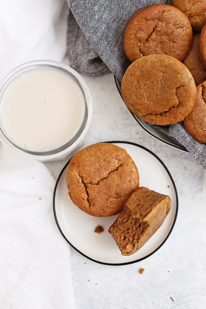 Paleo Almond Butter Banana Muffins - These amazing paleo muffins are grain free, gluten free, dairy free, and completely delicious! Make them in the blender or a food processor if you like! Gluten Free muffins // Paleo Muffins // Banana Muffins // Almond Butter // 