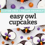 Collage of images of owl cupcakes with text overlay that reads "Gluten-Free + Vegan-Friendly Easy Owl Cupcakes"