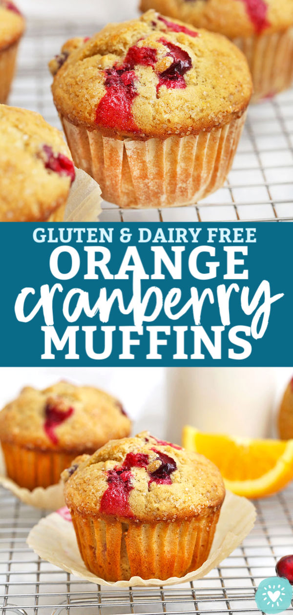 Gluten Free Dairy Free Orange Cranberry Muffins from One Lovely Life