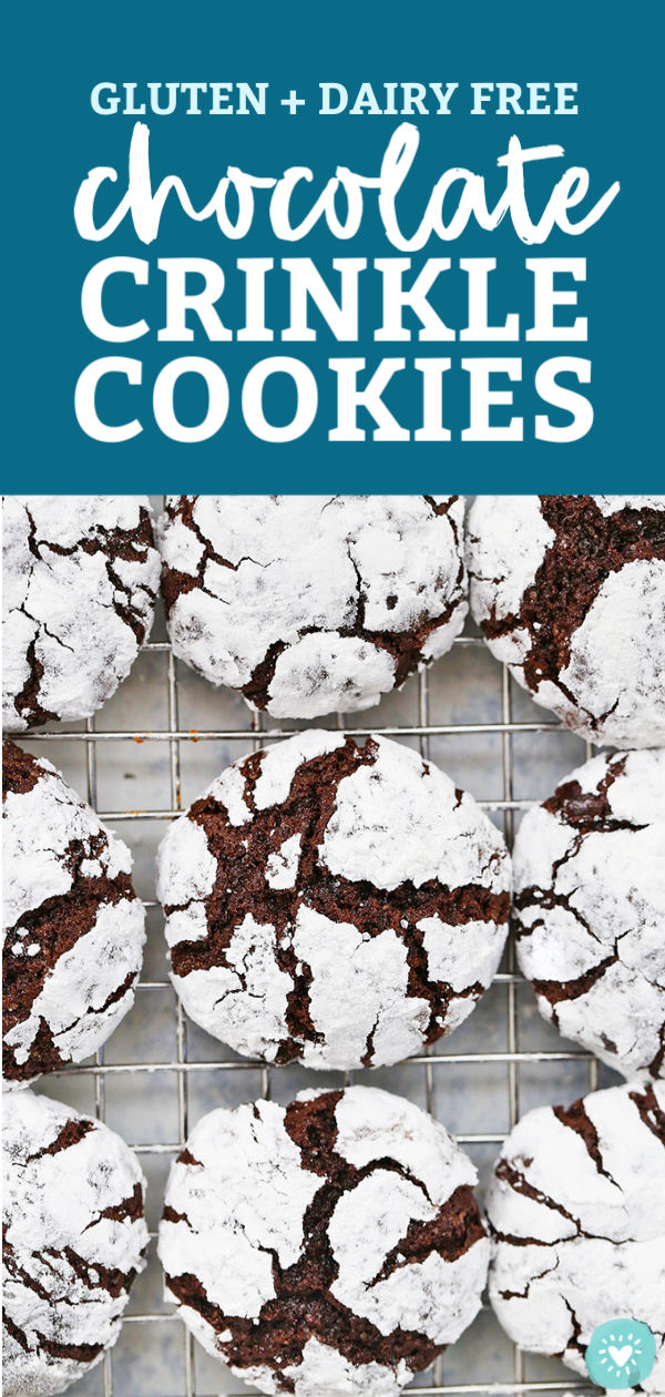 Gluten-Free Chocolate Crinkle Cookies - These gorgeous gluten-free crinkle cookies are ultra-fudgy and absolutely delicious! Perfect for the holidays or your next chocolate craving. (Gluten-Free & Dairy Free) // Crinkle Cookies Recipe // Chocolate Crinkle Cookies Recipe // Gluten Free Christmas Cookies // #cookies #chocolate #crinklecookies #christmascookies #chocolatecookies #glutenfree #dairyfree