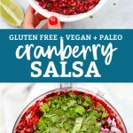 Collage of images of Fresh Cranberry Salsa Holiday Appetizer from One Lovely Life with text overlay that reads "Gluten-Free + Vegan + Paleo Cranberry Salsa"