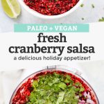 Collage of images of Fresh Cranberry Salsa with text overlay that reads "Paleo + Vegan Fresh Cranberry Salsa: A Delicious Holiday Appetizer!"
