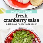 Collage of images of Fresh Cranberry Salsa with text overlay that reads "Paleo + Vegan Fresh Cranberry Salsa: A Delicious Holiday Appetizer!"