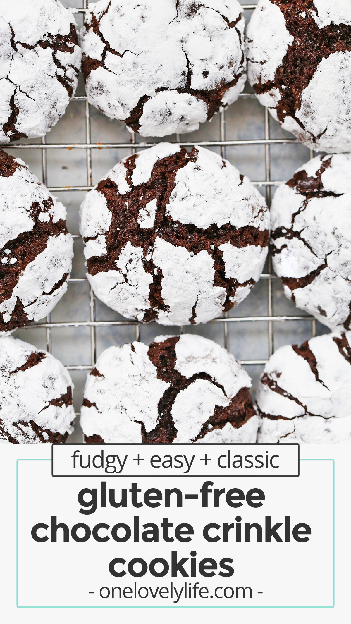 Gluten-Free Chocolate Crinkle Cookies - These gorgeous gluten-free crinkle cookies are ultra-fudgy and absolutely delicious! Perfect for the holidays or your next chocolate craving. (Gluten-Free & Dairy Free) // Crinkle Cookies Recipe // Chocolate Crinkle Cookies Recipe // Gluten Free Christmas Cookies //