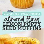 Gluten Free & Paleo Almond Flour Lemon Poppy Seed Muffins from One Lovely Life