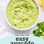 Easy Avocado Salsa from One Lovely Life