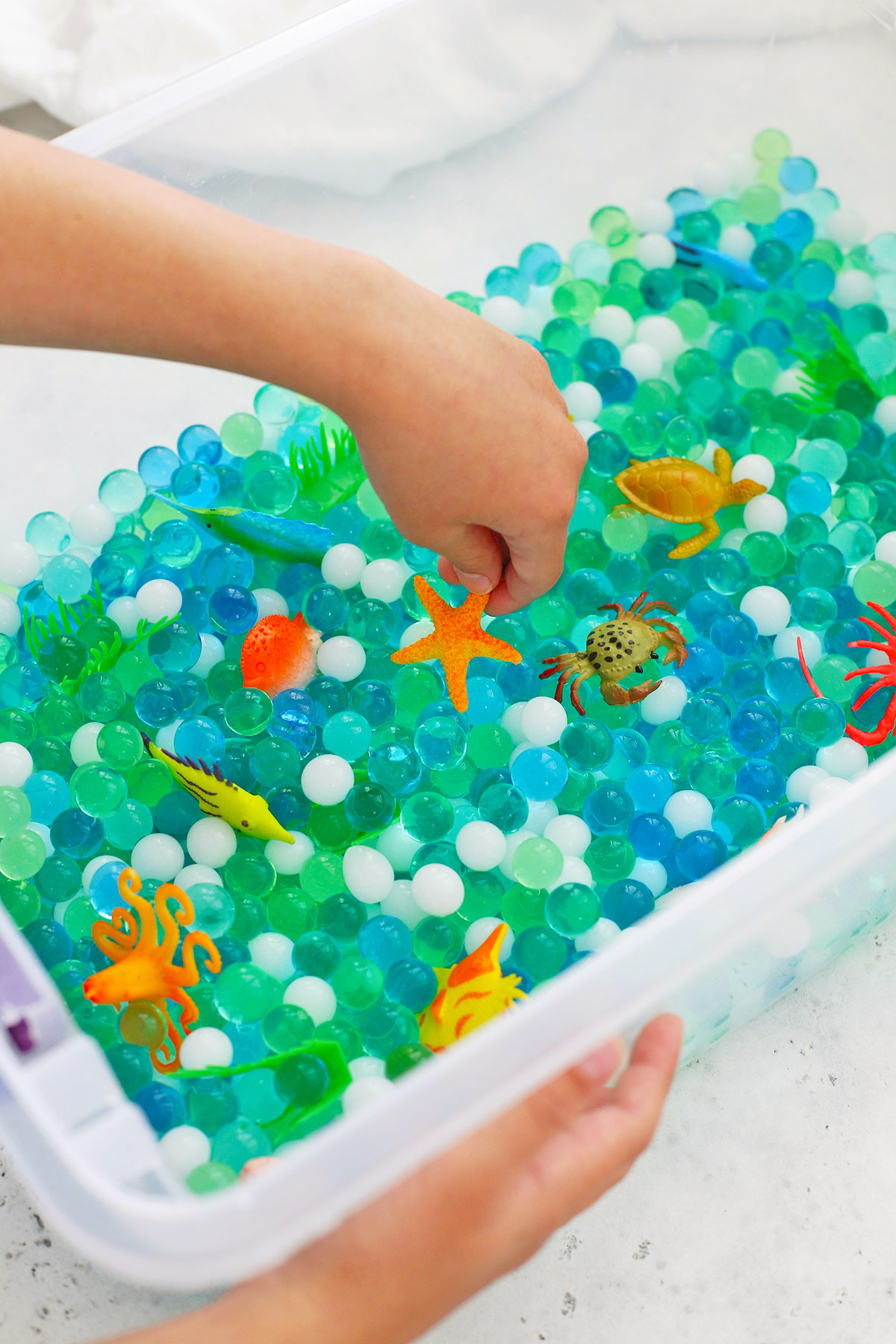How to Make an Ocean Sensory Bin with Water Beads