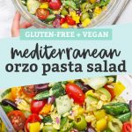 Mediterranean Orzo Pasta Salad (Gluten Free + Vegan)