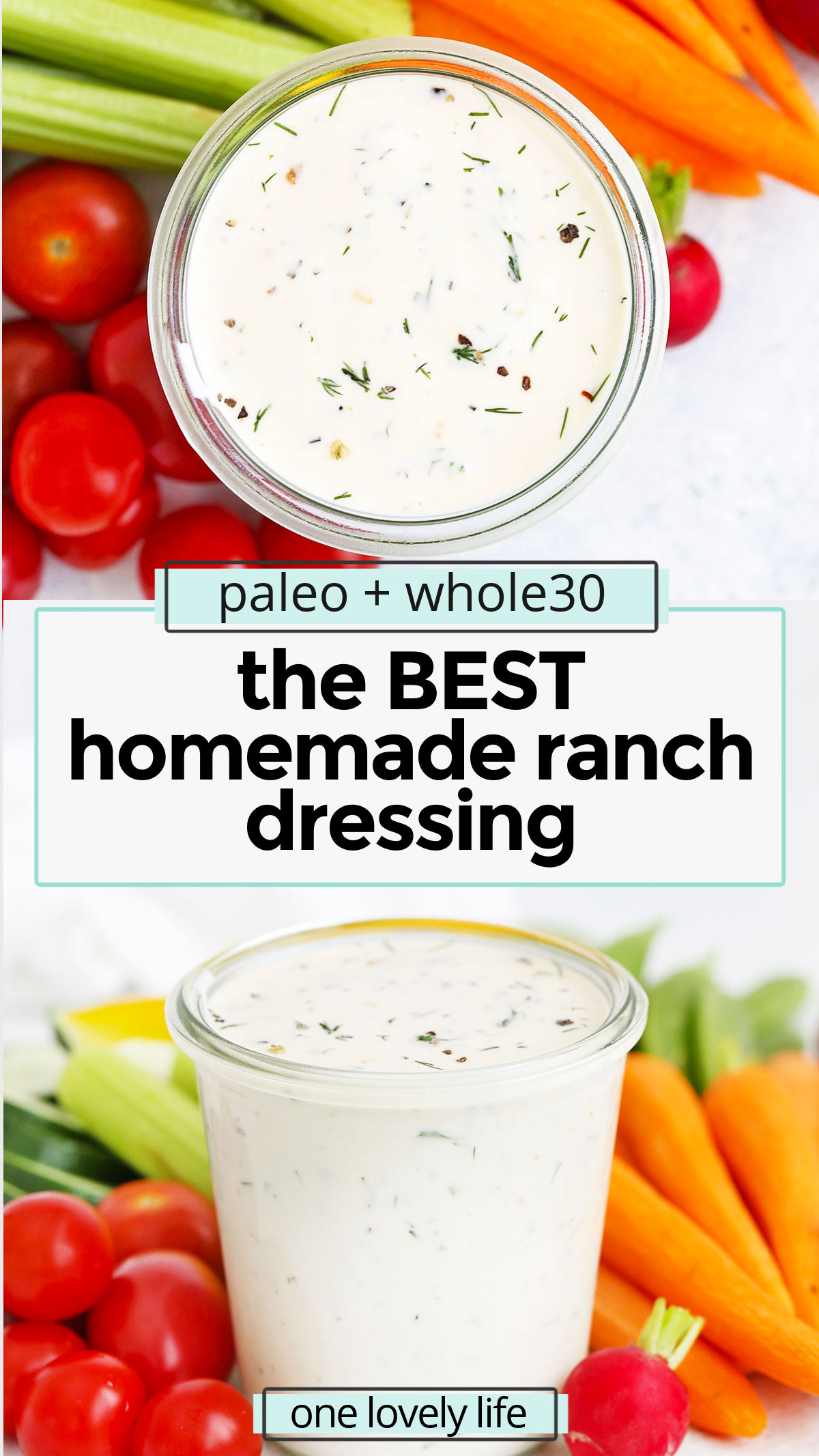 The BEST Paleo Ranch Dressing - This easy paleo ranch comes together in no time! Dairy free, gluten free, paleo and keto approved! // homemade ranch dressing recipe // dairy-free ranch dressing recipe // dump ranch // keto ranch dressing // paleo dump ranch dressing // whole30 dump ranch // easy ranch dressing // ranch dressing recipe no seasoning mix // healthy ranch dressing