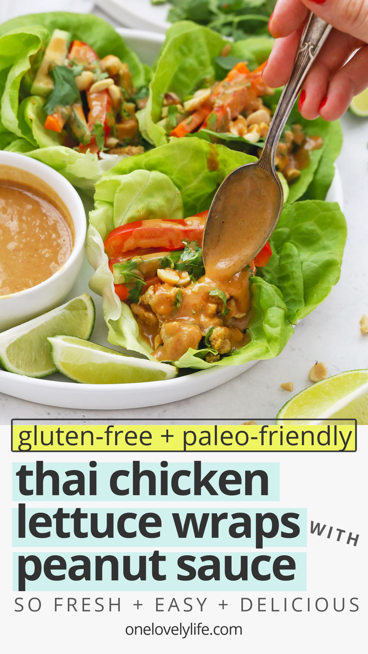 Thai Chicken Lettuce Wraps with Peanut Sauce - These Peanut Chicken Lettuce Wraps use flavorful chicken, crisp, fresh veggies, and THE BEST peanut sauce to make a delicious, easy dinner. // Peanut Lettuce Wraps // Easy dinner // Healthy Dinner #peanutsauce #lettucewraps #chicken #healthydinner #easydinner