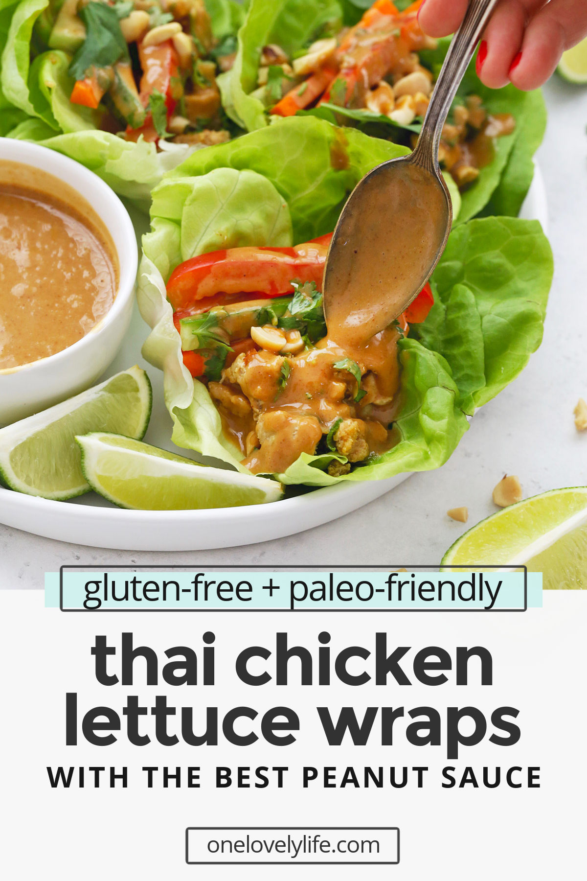 Thai Chicken Lettuce Wraps with Peanut Sauce - These Peanut Chicken Lettuce Wraps use flavorful chicken, crisp, fresh veggies, and THE BEST peanut sauce to make a delicious, easy dinner. // Peanut Lettuce Wraps // Easy dinner // Healthy Dinner #peanutsauce #lettucewraps #chicken #healthydinner #easydinner