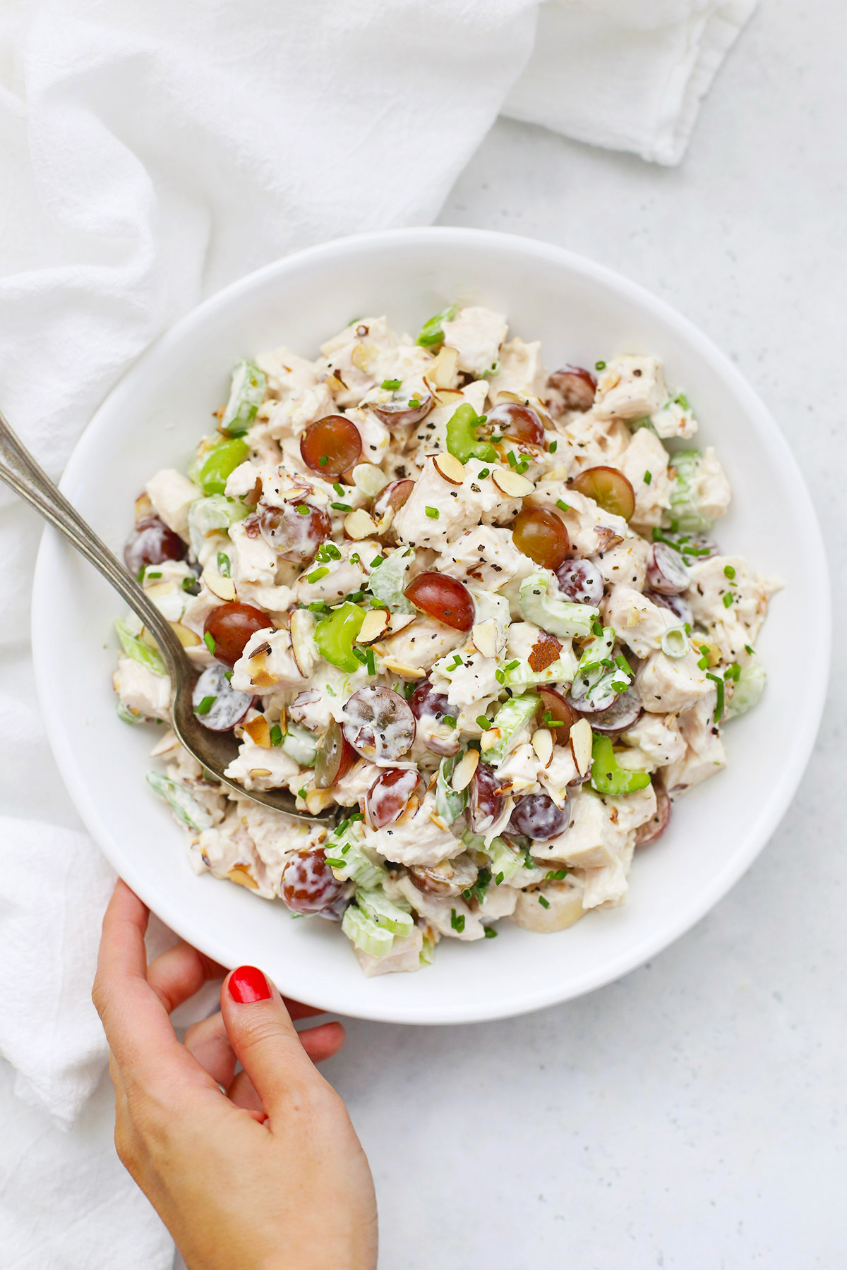 A hand holding a bowl of classic chicken salad on a white background.