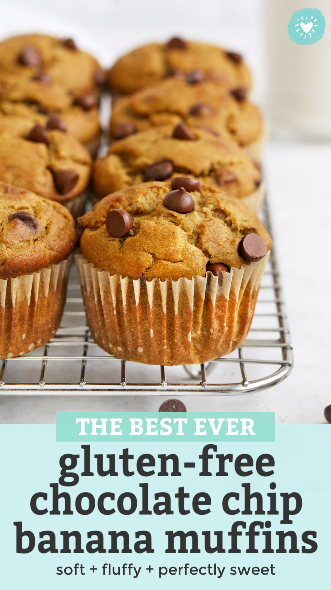 Front view of gluten-free banana chocolate chip muffins on a cooling rack, with text overlay that reads "The Best Ever Gluten-Free Chocolate Chip Banana Muffins. Soft + fluffy + perfectly sweet."