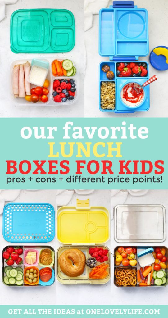 Our Favorite Lunch Boxes & Reusable Bags • One Lovely Life