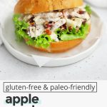 Close up front view of an Apple Cranberry Chicken Salad Sandwich on a Gluten-Free Bun with Lettuce