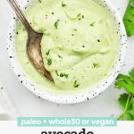 Overhead view of a speckled bowl of vegan or paleo avocado ranch with text overlay that reads "paleo + whole30, or vegan avocado ranch dressing"