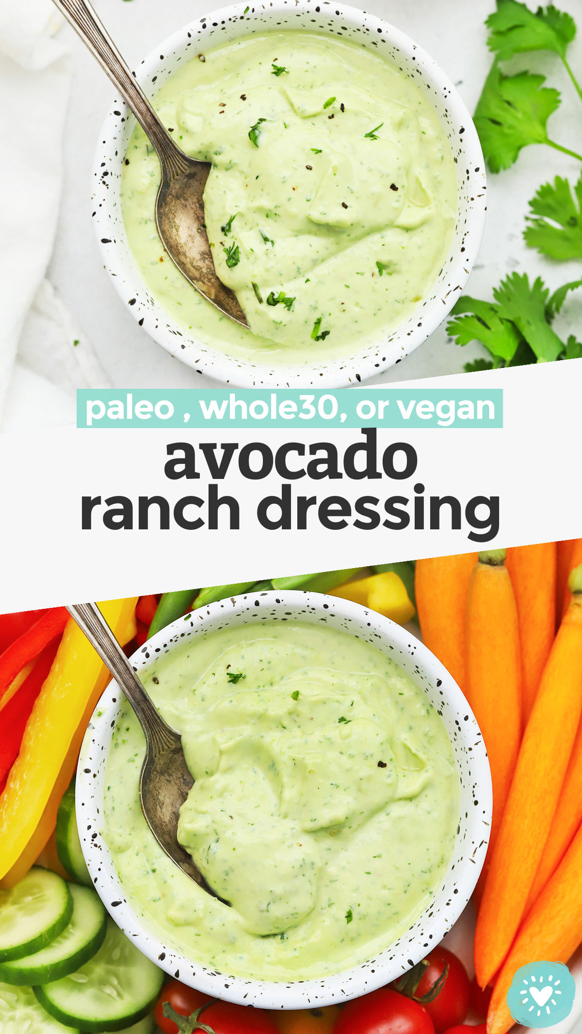 Creamy Avocado Ranch - This avocado ranch dressing recipe is everything I love about ranch dressing and avocados combined! It's an awesome dip for veggies, addition to tacos, or topping for salads. // Paleo Avocado Ranch // Vegan Avocado Ranch // Avocado Ranch Dip // Whole30 Avocado Ranch #paleoranch #avocadoranch #healthydip #avocado