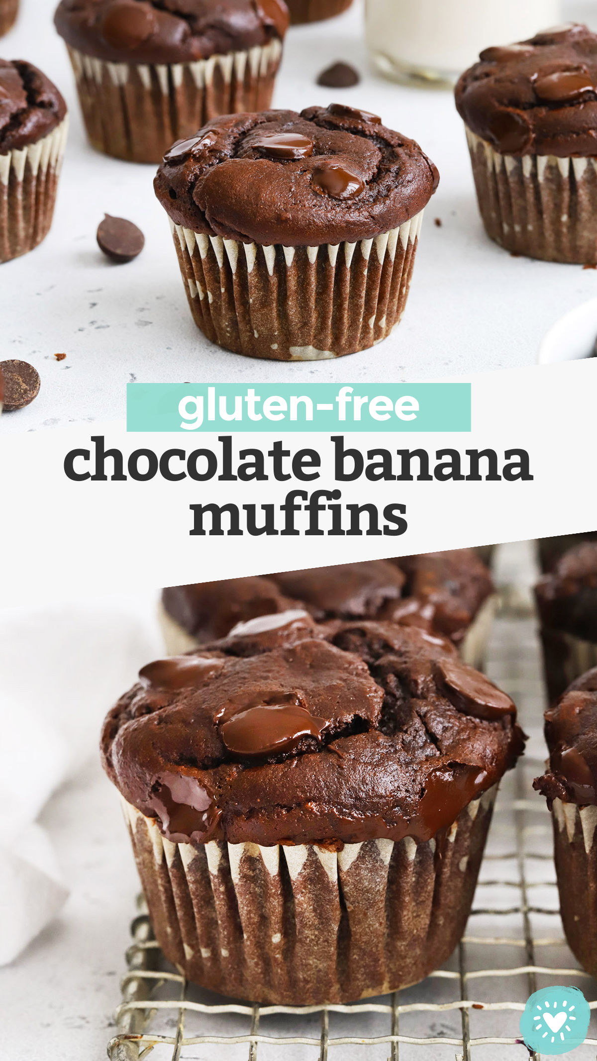 Gluten-Free Chocolate Banana Muffins - These gluten-free double chocolate banana muffins are light, fluffy, and loaded with ultra-chocolatey flavor. A favorite sweet treat that's easy to make any time! (Dairy-Free) // gluten-free chocolate chocolate chip muffins // gluten free banana muffins recipe #glutenfree #muffins #breakfast #snack #chocolate #banana