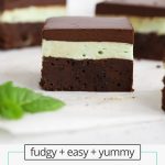 Front view of a gluten-free mint brownie square