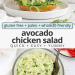 Collage of images of an avocado chicken salad sandwich with tomato and arugula on a white plate with text overlay that reads "gluten-free + paleo + whole30 Friendly Avocado Chicken Salad: Quick + Easy + Yummy"