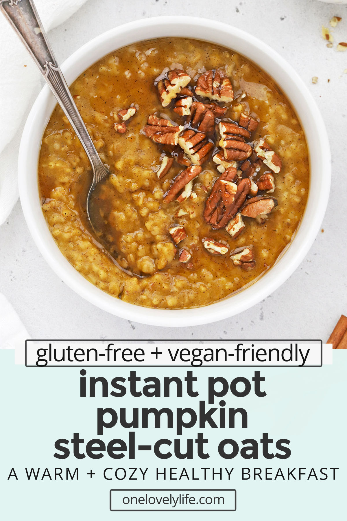 Instant Pot Pumpkin Steel-Cut Oats - This creamy pumpkin steel-cut oatmeal is so easy to make in the Instant Pot. It's a delicious warm breakfast that's worth waking up for any day of the week. (Gluten-Free, Vegan-Friendly) // Pumpkin Oatmeal // Pumpkin Steel Cut Oats // Instant Pot Pumpkin Oatmeal // Fall breakfast // Winter breakfast // healthy breakfast #steelcutoats #oatmeal #instantpot #fallrecipe #pumpkin #healthypumpkinrecipes #veganbreakfast #healthybreakfast