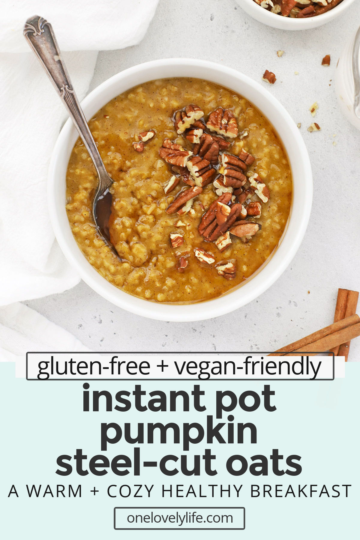 Instant Pot Pumpkin Steel-Cut Oats - This creamy pumpkin steel-cut oatmeal is so easy to make in the Instant Pot. It's a delicious warm breakfast that's worth waking up for any day of the week. (Gluten-Free, Vegan-Friendly) // Pumpkin Oatmeal // Pumpkin Steel Cut Oats // Instant Pot Pumpkin Oatmeal // Fall breakfast // Winter breakfast // healthy breakfast #steelcutoats #oatmeal #instantpot #fallrecipe #pumpkin #healthypumpkinrecipes #veganbreakfast #healthybreakfast