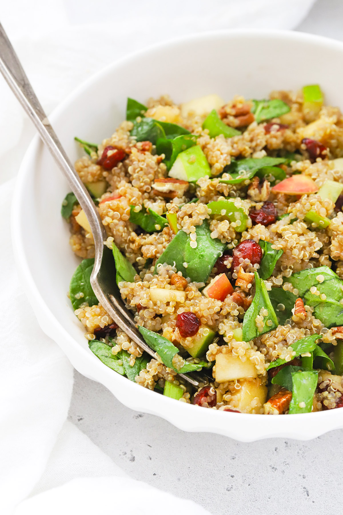 Front view of a bowl of healthy quinoa salad with apples and cranberries.
