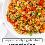 vegetarian fried rice with vegetables