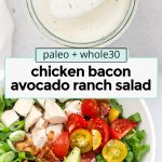 Front view of a colorful chicken bacon avocado ranch salad