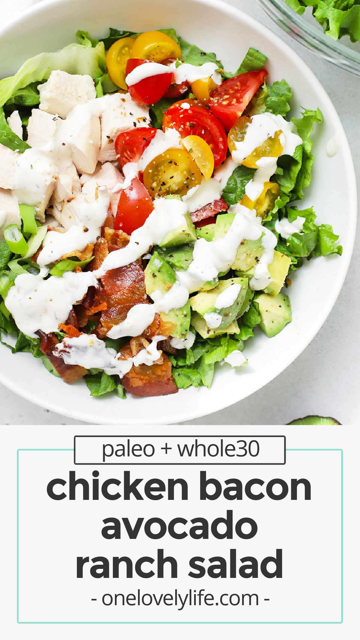 Chicken Bacon Avocado Ranch Salad - This chicken bacon ranch salad is loaded with goodies & finished with our creamy homemade ranch dressing. You'll LOVE it! (Paleo & Whole30 Friendly) // bacon ranch chicken salad // chicken bacon ranch salad recipe // paleo ranch // avocado chicken salad // main dish salad // dinner salad // picnic salad // potluck salad // low carb salad //