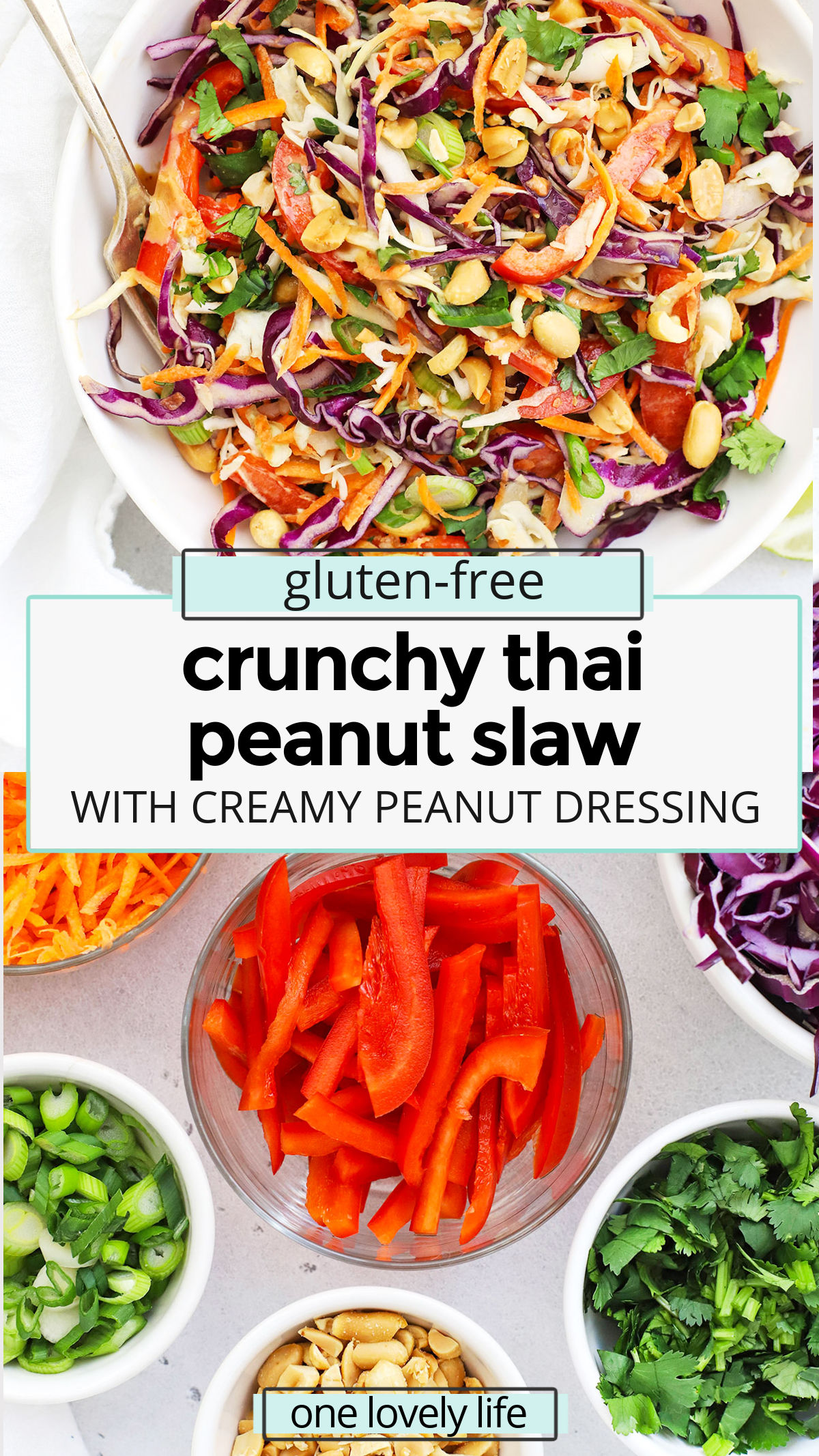 Crunchy Thai Peanut Slaw - This veggie slaw with peanut sauce is the perfect blend of colors, flavors, and textures. Fresh, crunchy, creamy, and gorgeous, it's a perfect healthy side dish. (Vegan, Gluten-Free) // thai coleslaw // asian coleslaw // peanut coleslaw // coleslaw without mayo // coleslaw no mayo // peanut sauce dressing // peanut dressing // vegan coleslaw // coleslaw with peanut sauce // healthy coleslaw