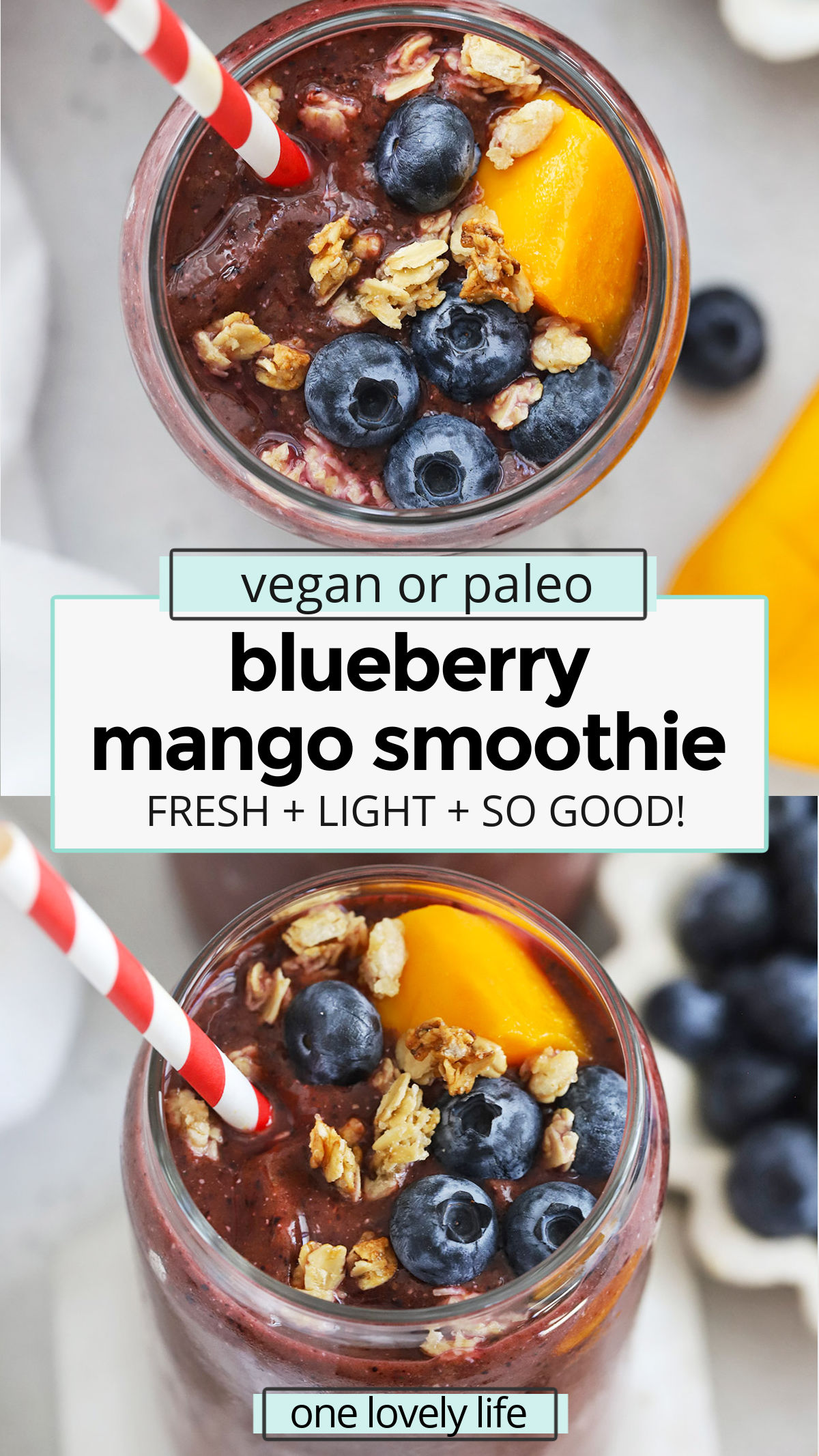 Blueberry Mango Smoothie - This yummy mango berry smoothie recipe is refreshing, light & delicious. The whole family loves it! Vegan or Paleo // Blueberry Smoothies / Mango smoothies // mango berry smoothie recipe // berry mango smoothie // mango blueberry smoothies / kid friendly smoothie / purple smoothie / fruit smoothie / breakfast smoothie / paleo smoothie / vegan smoothie / green smoothie