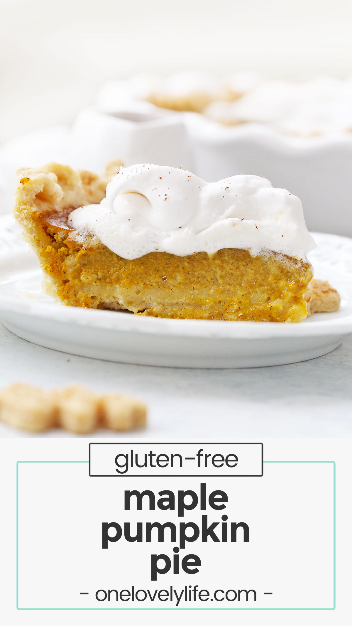Maple Pumpkin Pie - This naturally sweetened pumpkin pie recipe might be the best pumpkin pie I've ever had. Perfectly spiced and so delicious! (Gluten free, dairy free, paleo-friendly) // paleo pumpkin pie recipe // dairy free pumpkin pie recipe // gluten free pumpkin pie recipe // healthy pumpkin pie