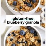 a white bowl of blueberry granola with milk and fresh blueberries